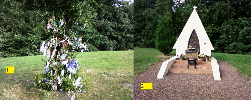 Fichier:800px-Arbre à loques.jpg