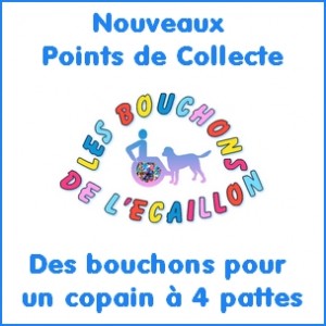 Fichier:Les bouchons de l'Écaillon.jpeg